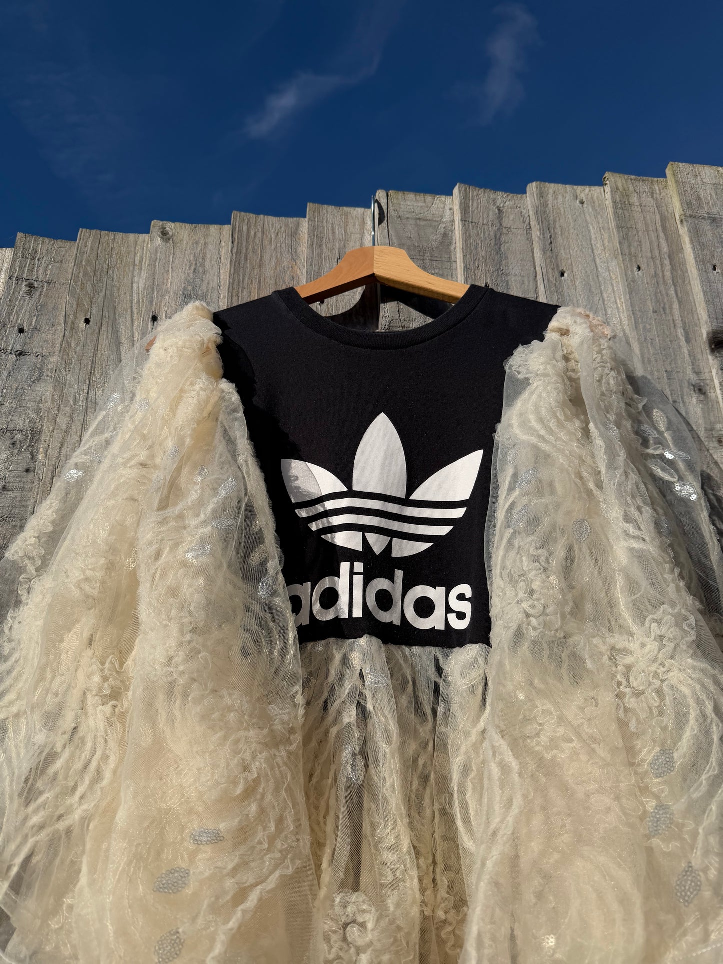 ‘Signs of Light’