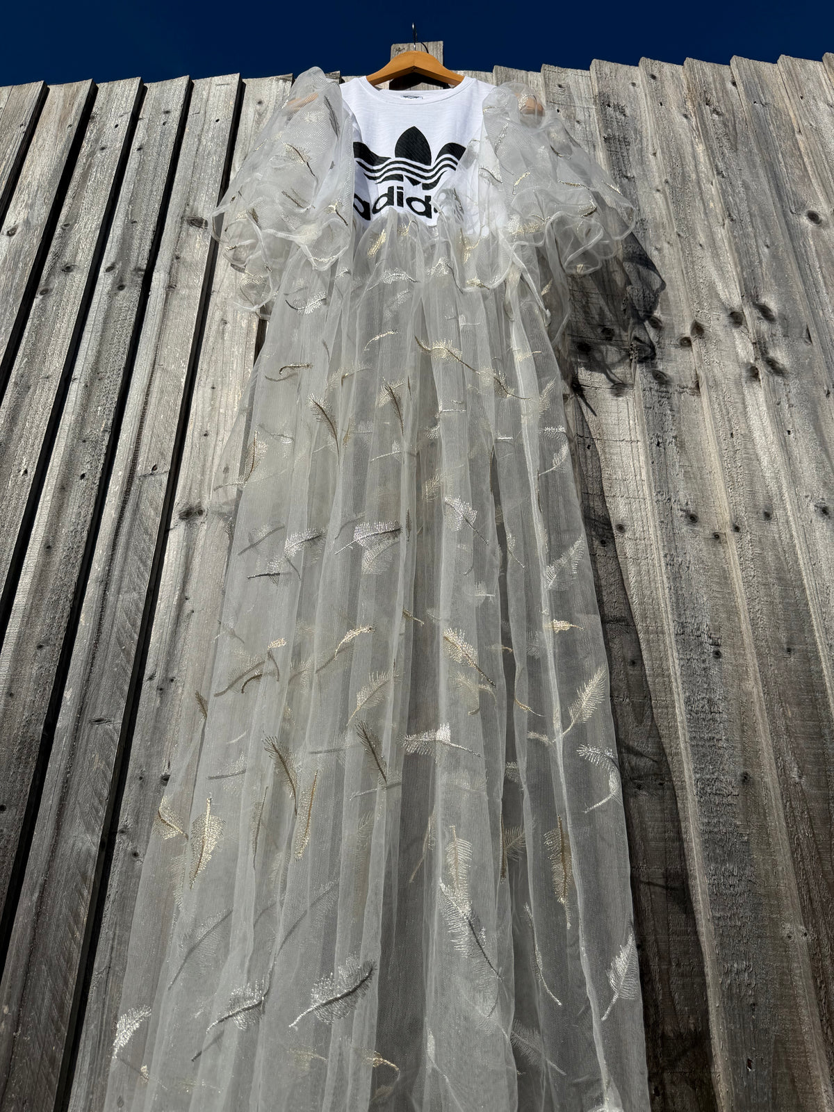 ‘Ghosted’