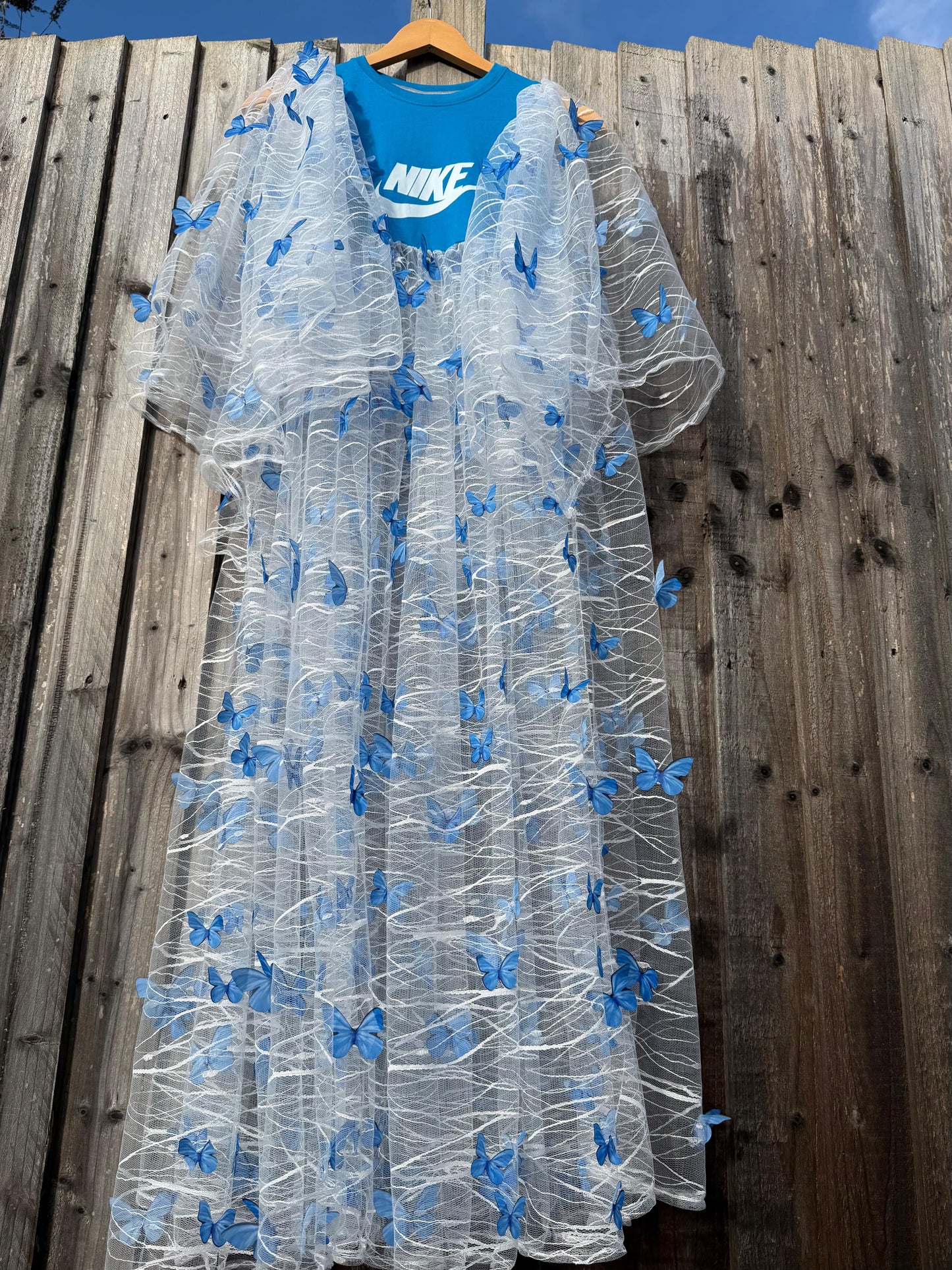 ‘Butterfly Catcher’