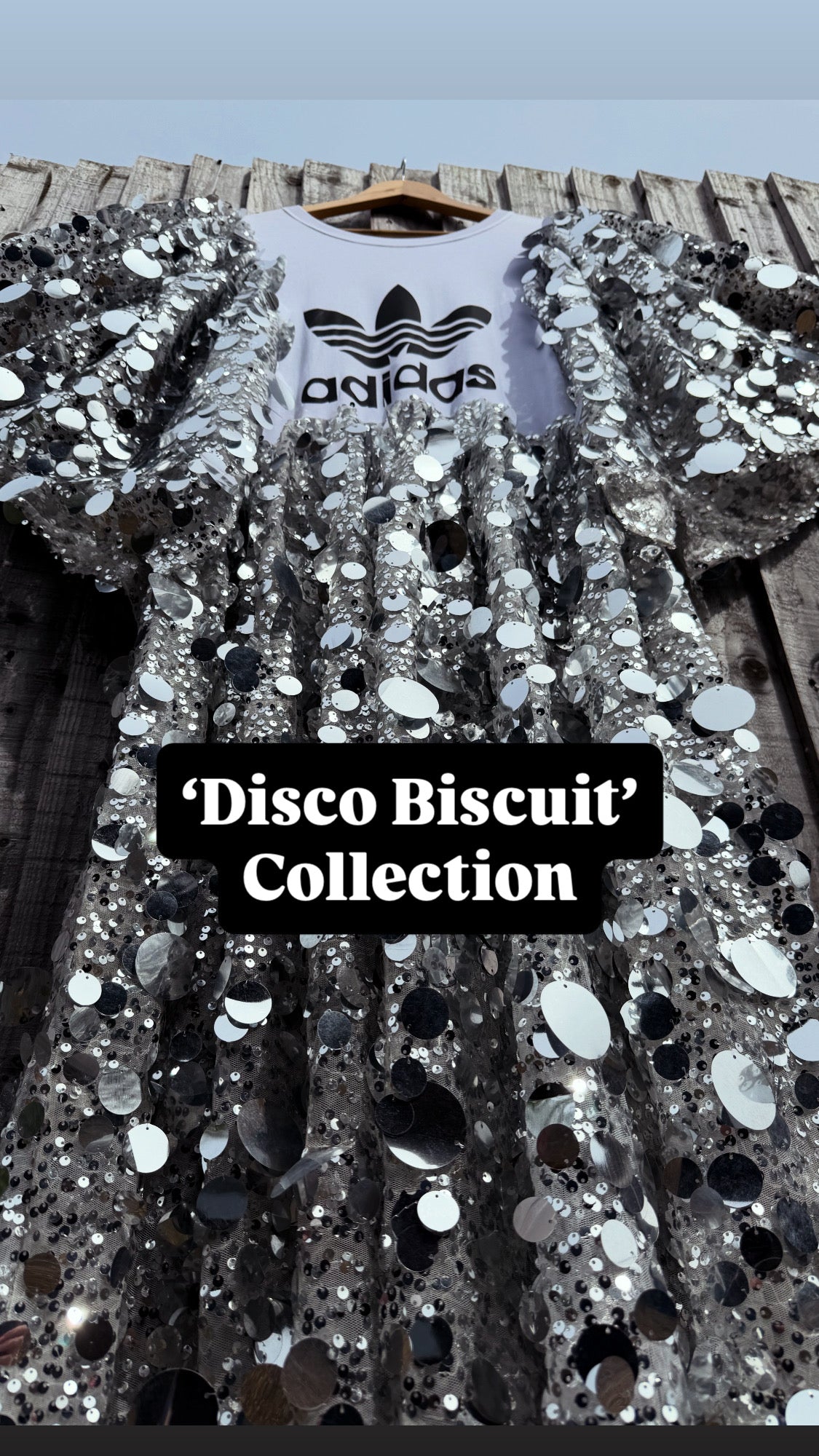 Disco Biscuit Collection
