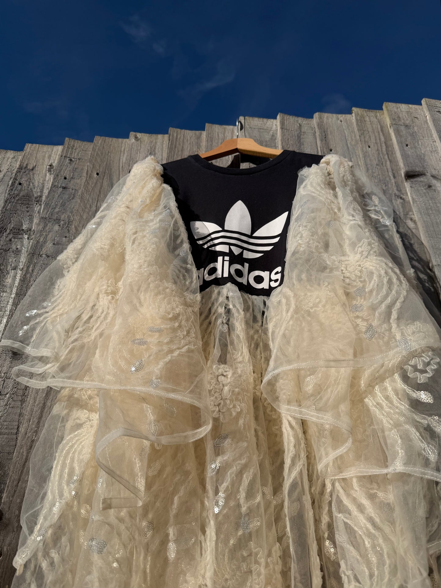 ‘Signs of Light’