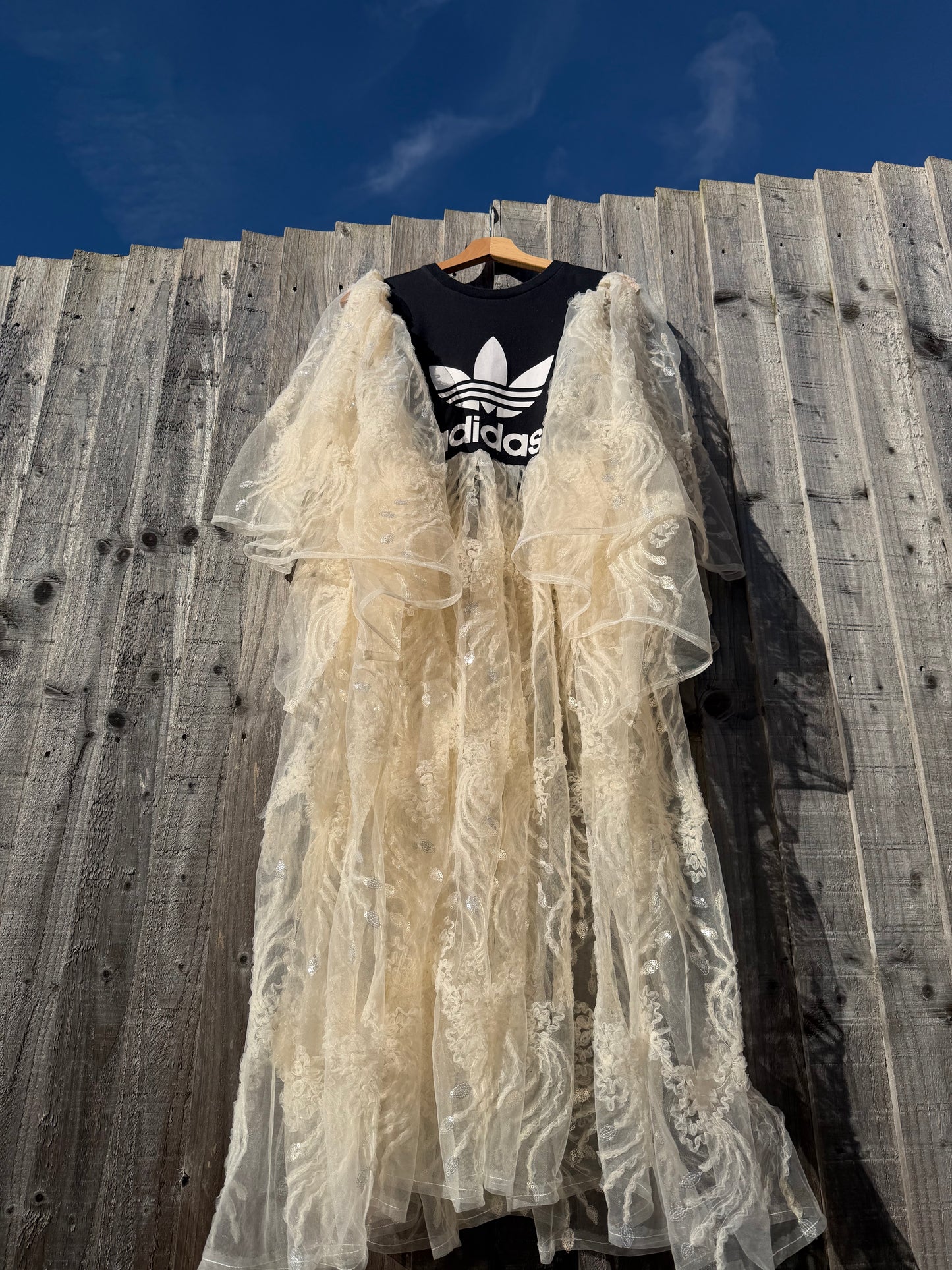 ‘Signs of Light’