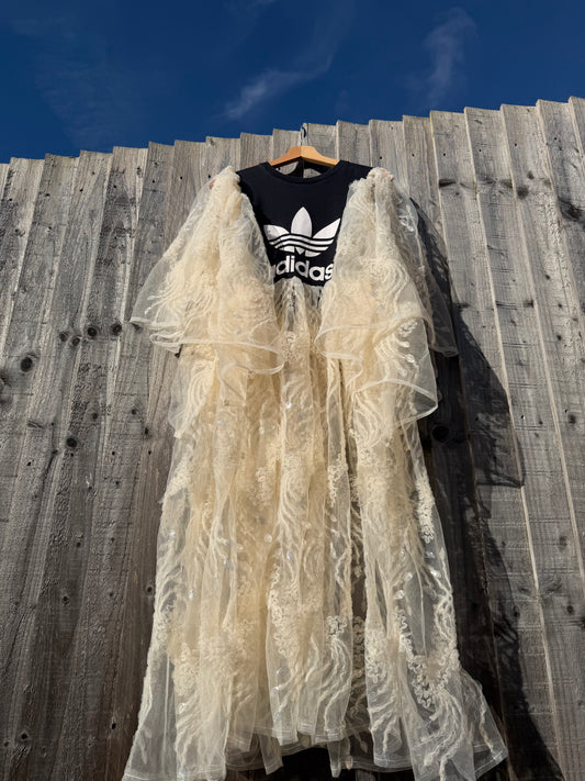 ‘Signs of Light’