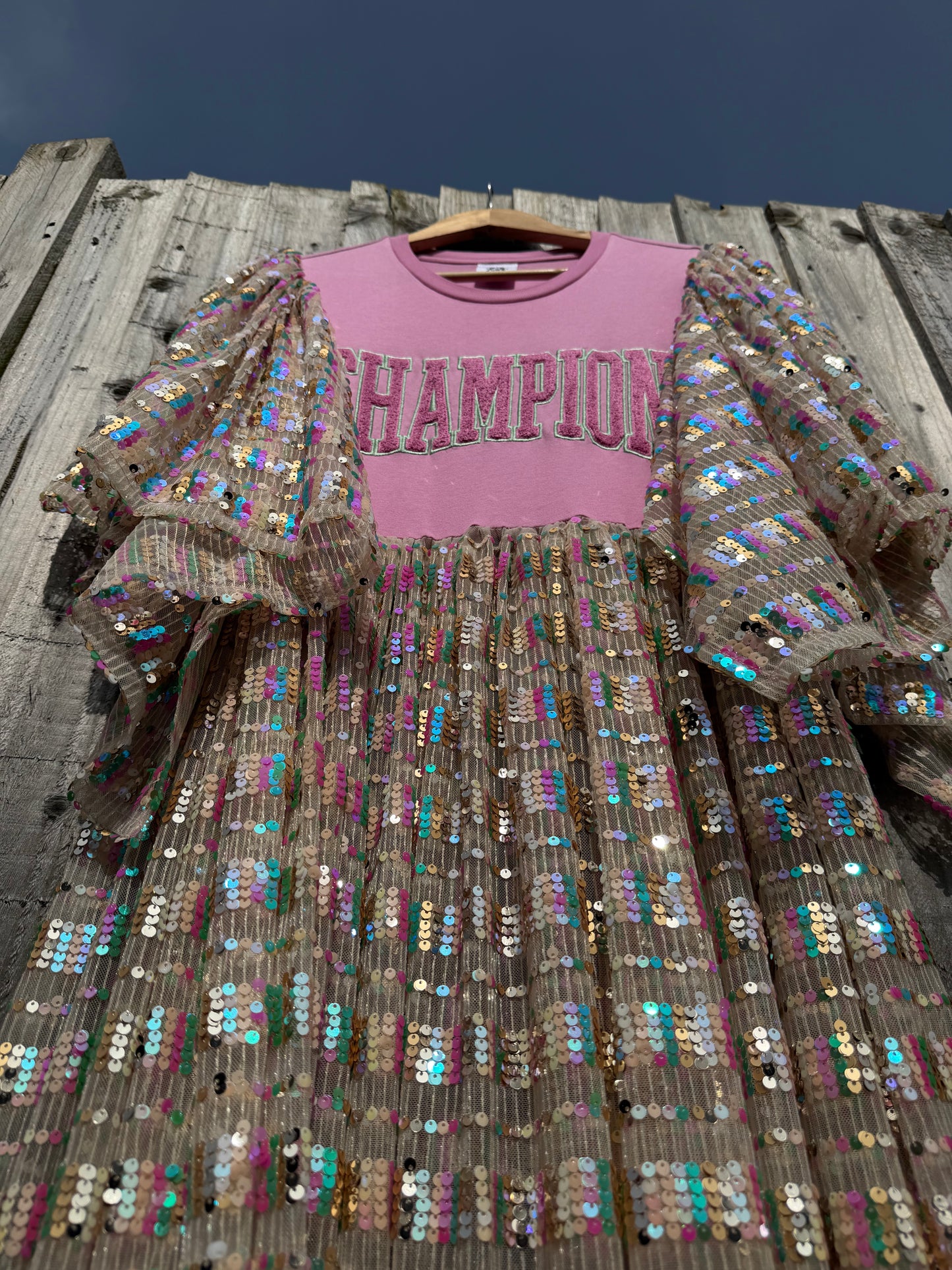 ‘Dance Champion’