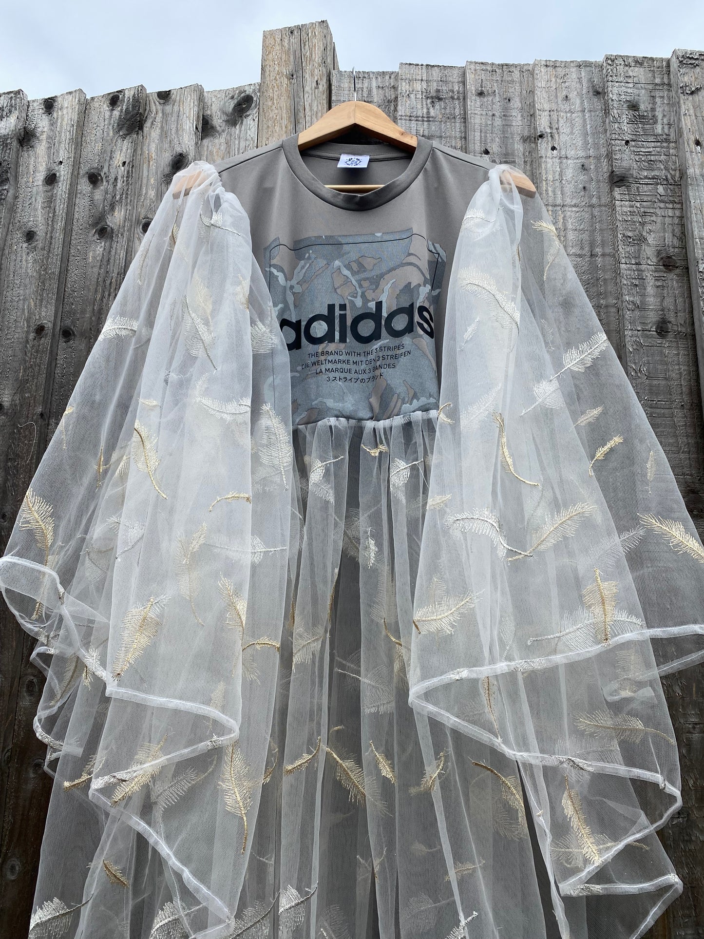 ‘Dreaming Feathers’