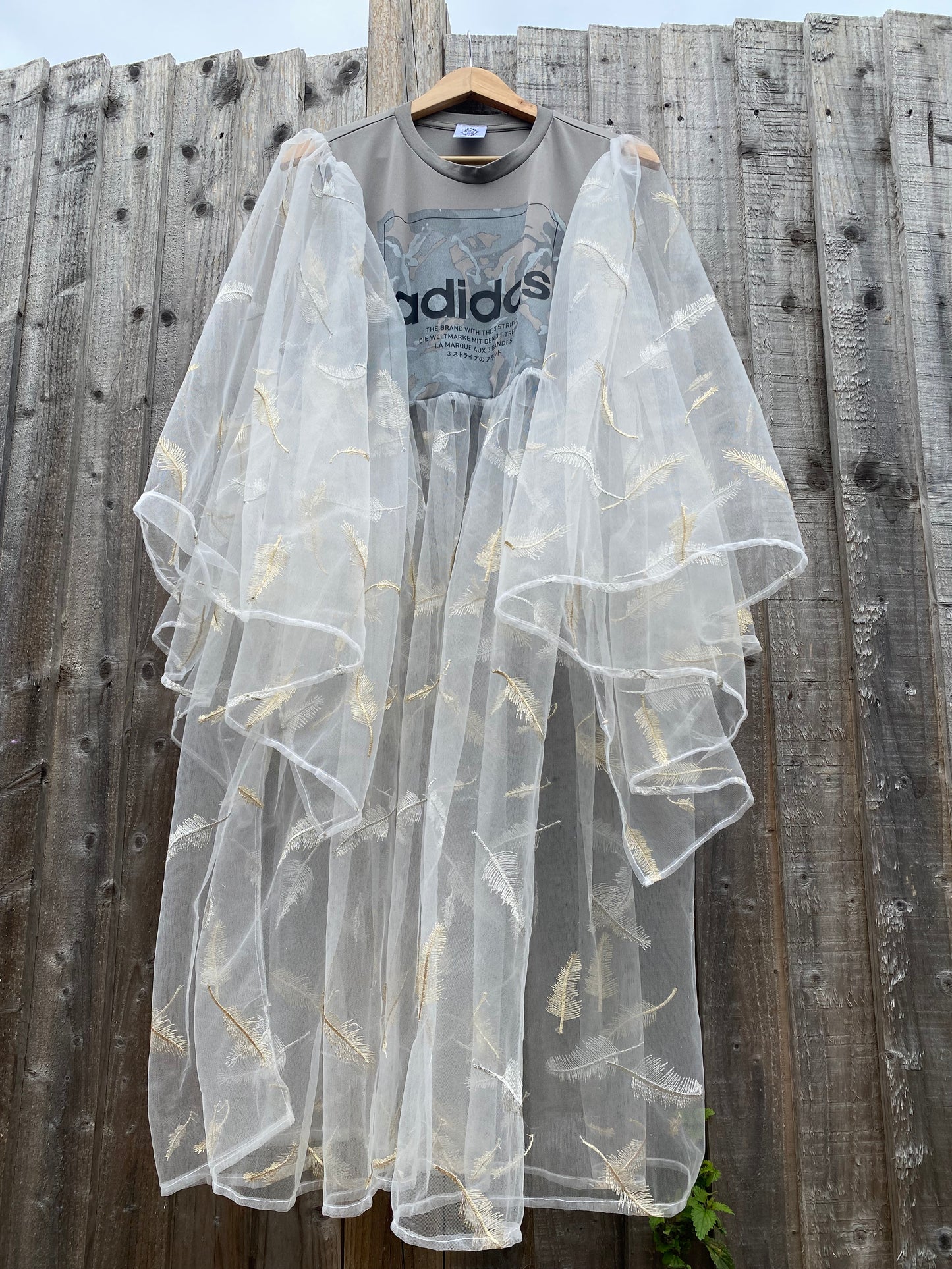 ‘Dreaming Feathers’