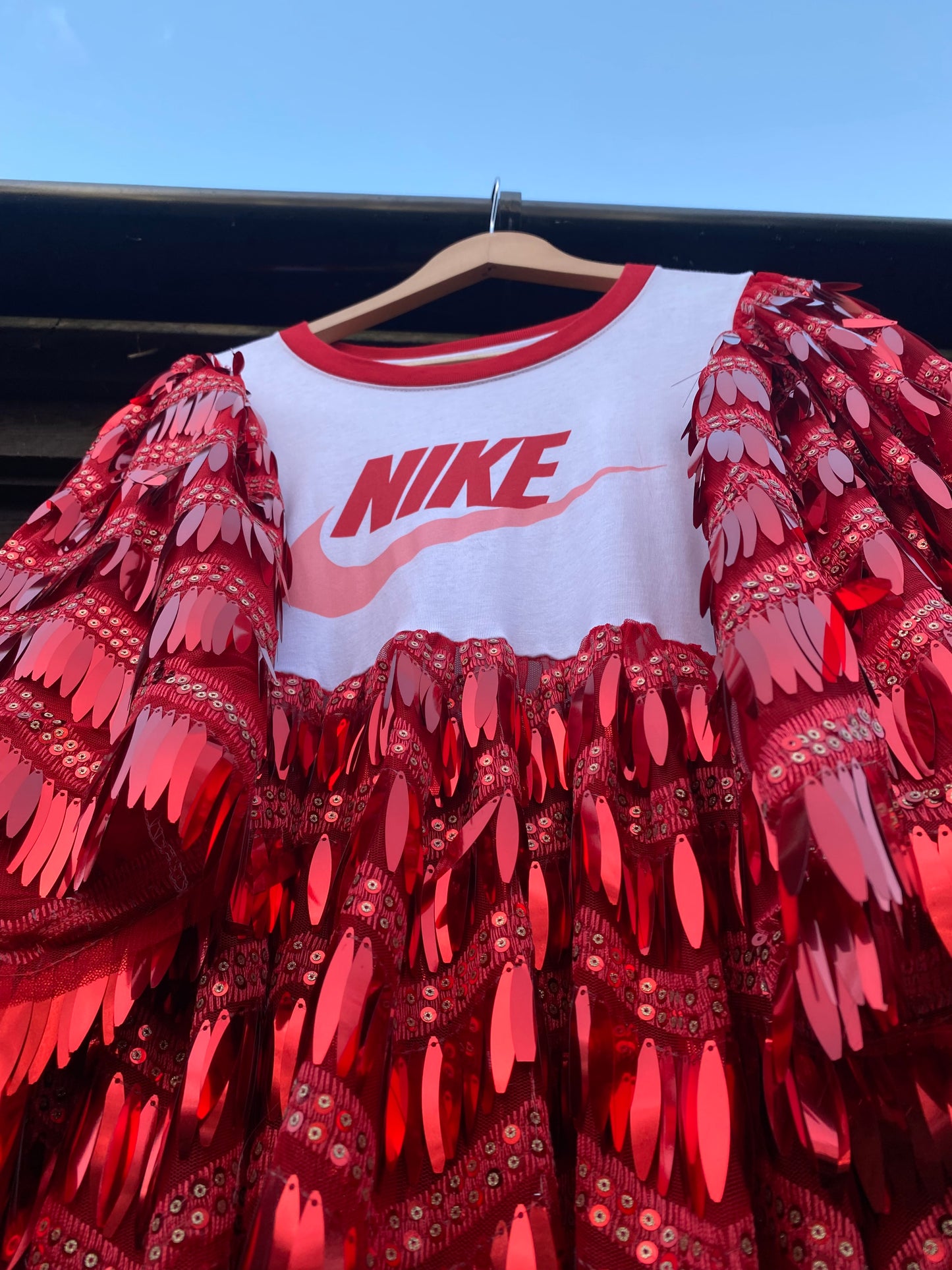 ‘Dance of Thorns & Roses’