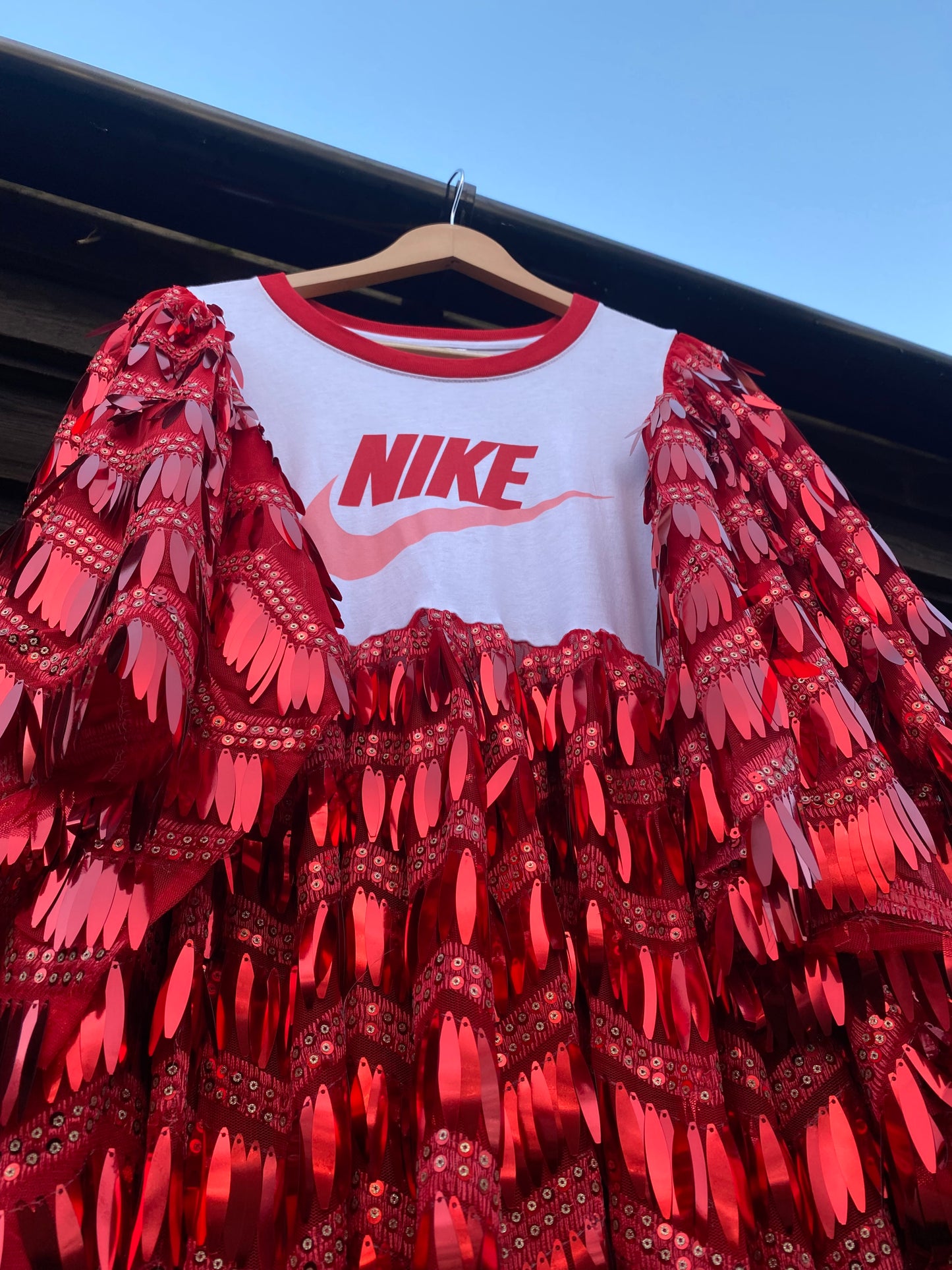 ‘Dance of Thorns & Roses’